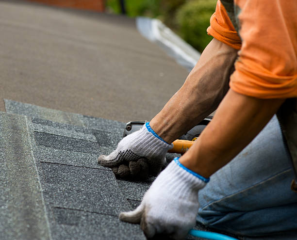 Best Roof Gutter Cleaning  in Twin Falls, ID